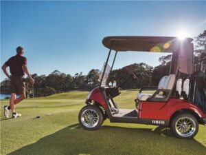 Consumer Golf Cart - Photo 5