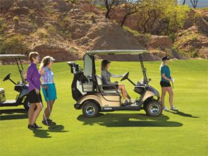 Consumer Golf Cart - Photo 3