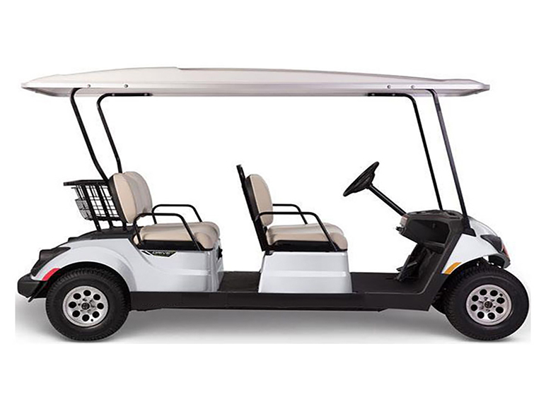 Neighborhood Golf Cart Concierge4